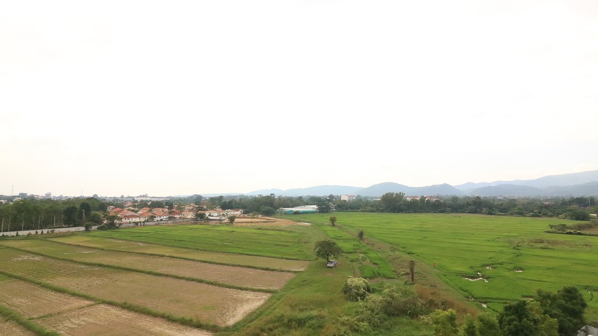 社区环境优美的山景单卧室出售-Serene Lake North公寓