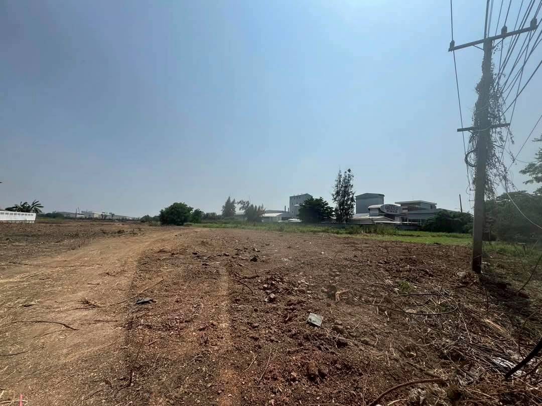 大城府 | Uthai县，临路土地出售 30莱 220万泰铢/莱