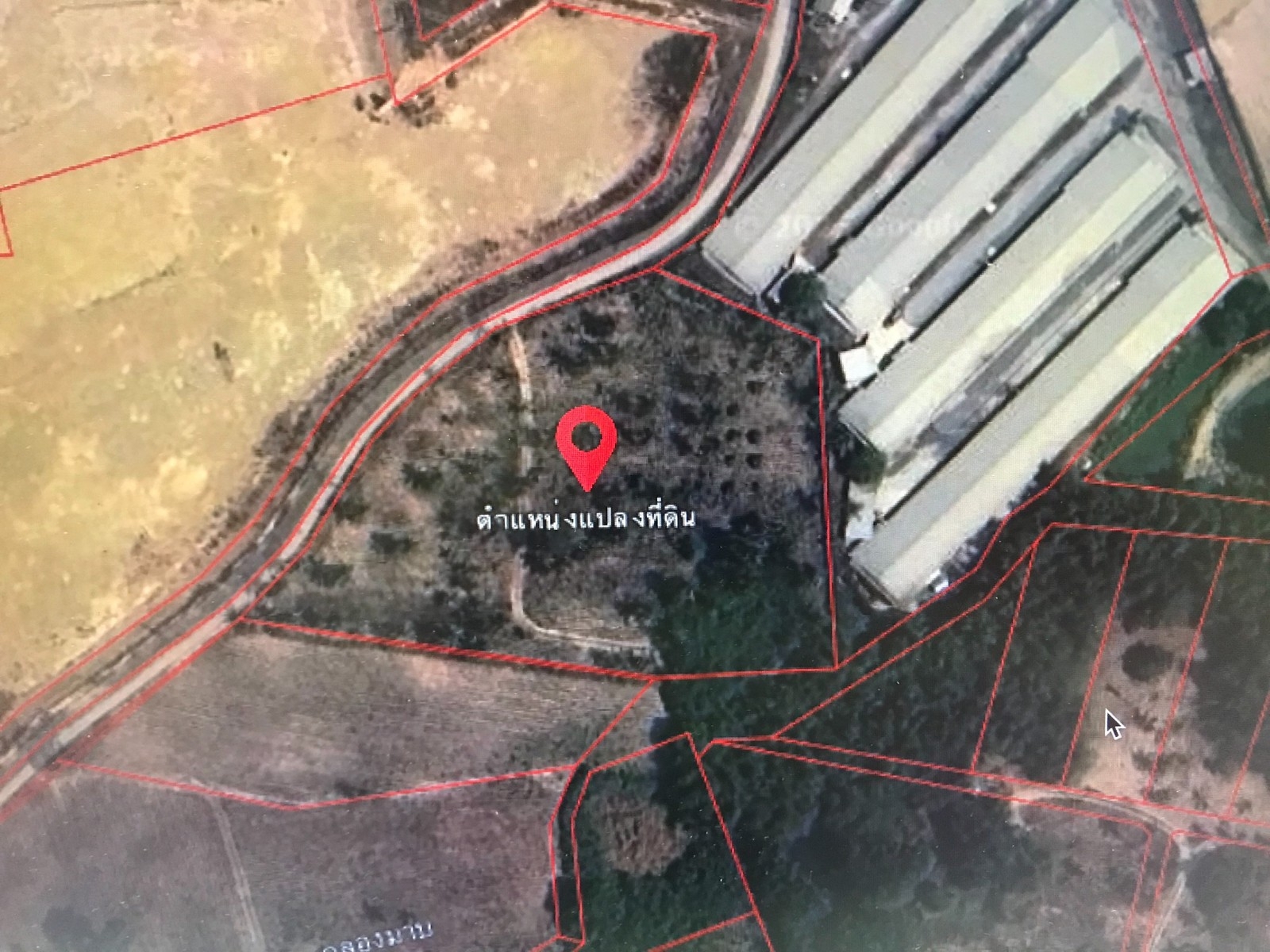 春武里府 |【(黄紫点区】Ban Bueng县 土地出售 7-0-24.5莱 290万泰铢/莱