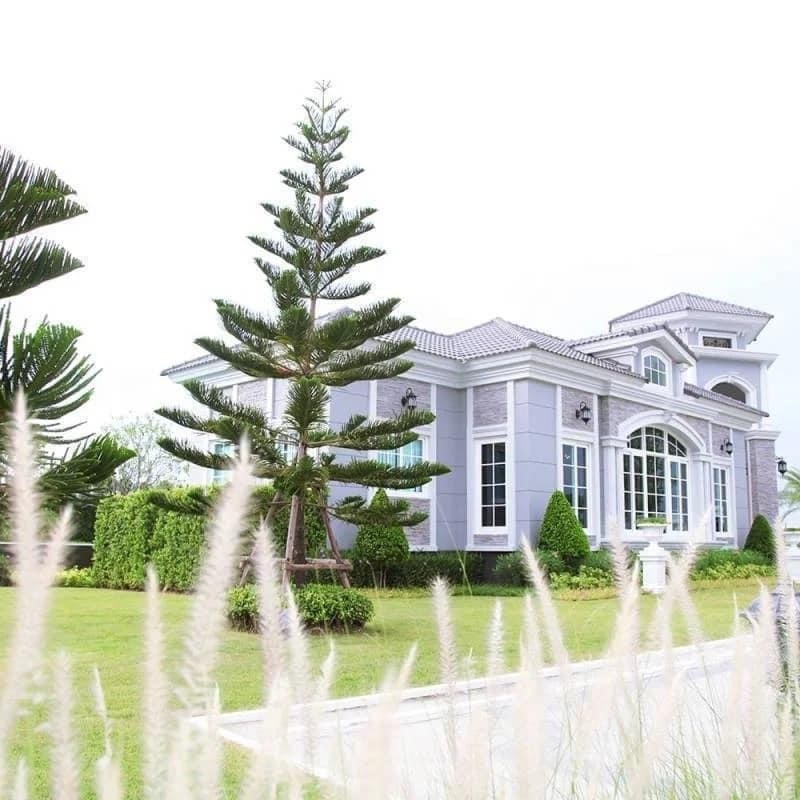 巴威区 | Golden Neo Bangna-Suan Luang 半独立别墅出租 4卧 151平米 55,000泰铢/月（可养宠物）