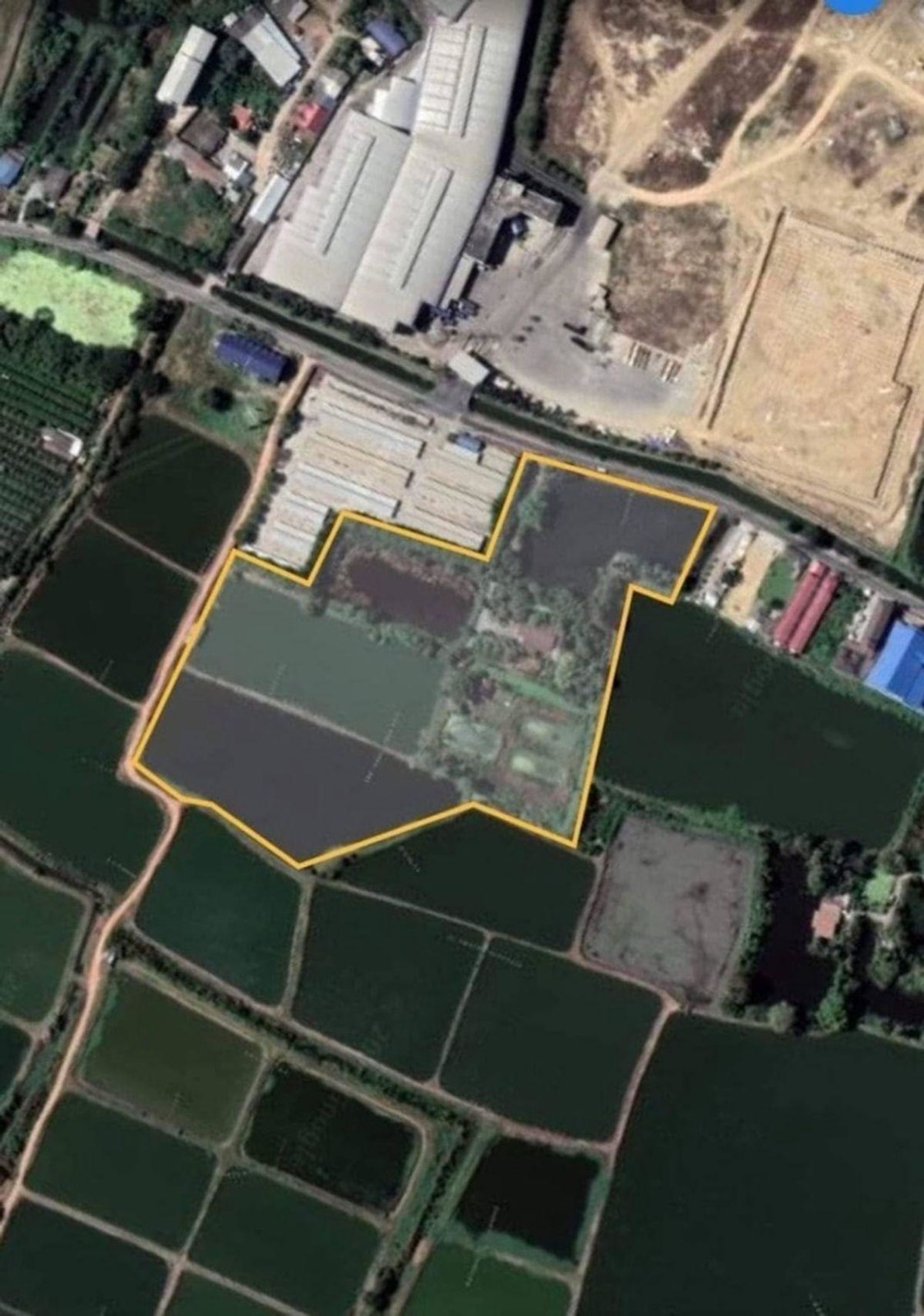 佛统府 |【绿色区】Nakhon Chai Si - Nakhon Pathom 土地出售 28-0-31莱 1.2635亿泰铢