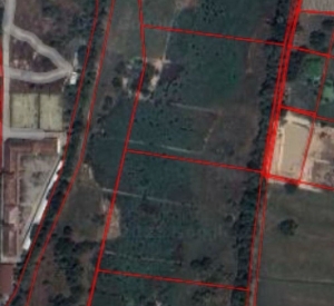 春武里府 |【黄色区】Ban Bueng县，Nong Bon Daeng 空土地出售 27-0-6莱 每莱250万泰铢