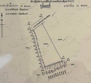 佛统府 |【粉色区】Sam Phran区域 土地出售 17-3-25莱 每莱600万泰铢