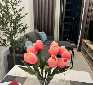 瓦他那区 | M Thonglor10 公寓出租/出售 2卧 出租45,000泰铢/月，出售1030万泰铢