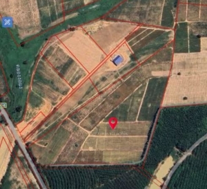 春武里府 |【紫色区/EEC】Nong Yai区域 工厂用地出售 40-1-83.2莱 400万泰铢/莱