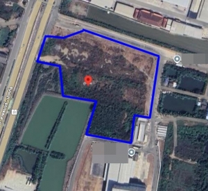 龙仔厝府 |  Samut Sakhon工业土地出售【绿色用地】 25.74莱 售价660万泰铢/莱