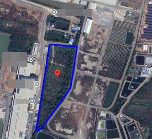 龙仔厝府  | Samut Sakhon工业土地出售（绿色用地） 21.17莱 售价660万泰铢/莱