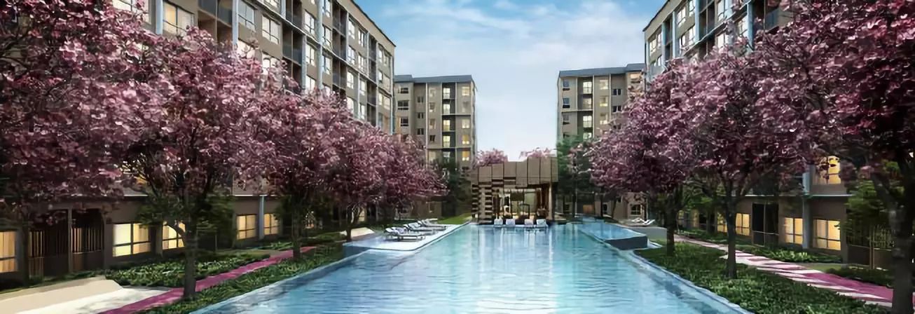 Plum Condo Rangsit Alive