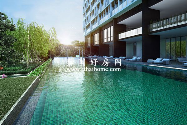 Noble-Ploenchit-Bangkok-condo-for-sale-swimming.jpg