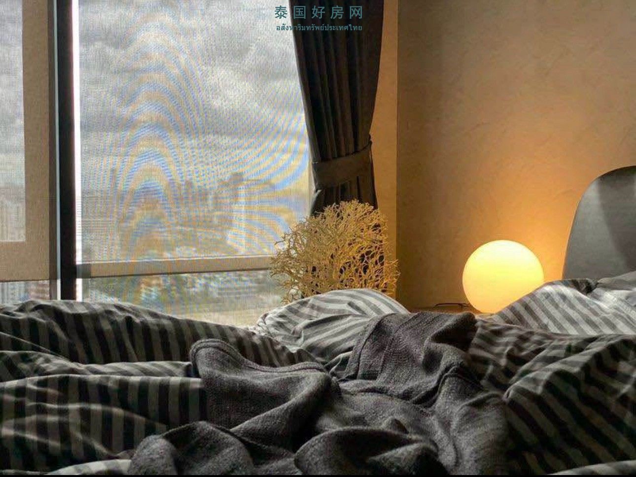 1789439722642365.jpg